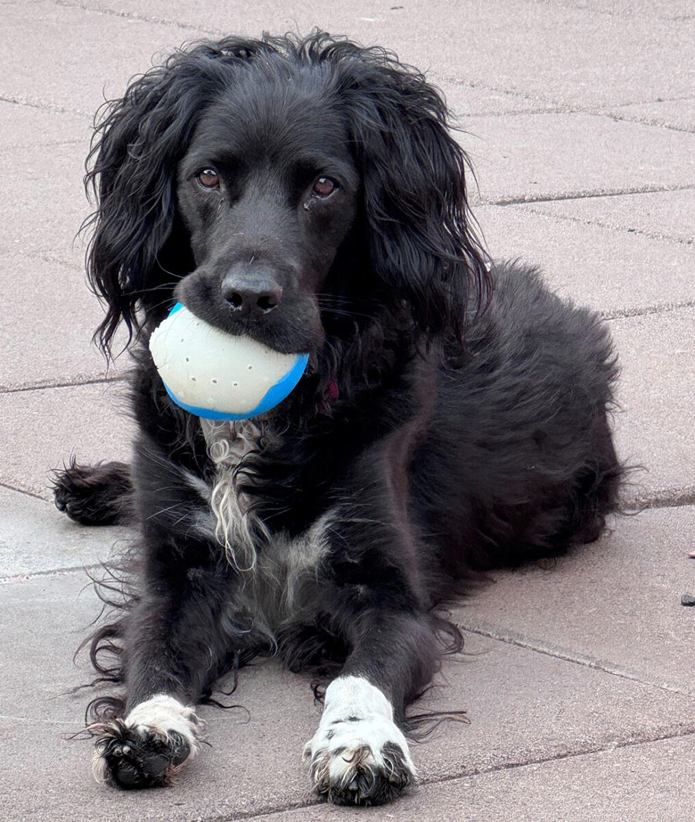 Riley01