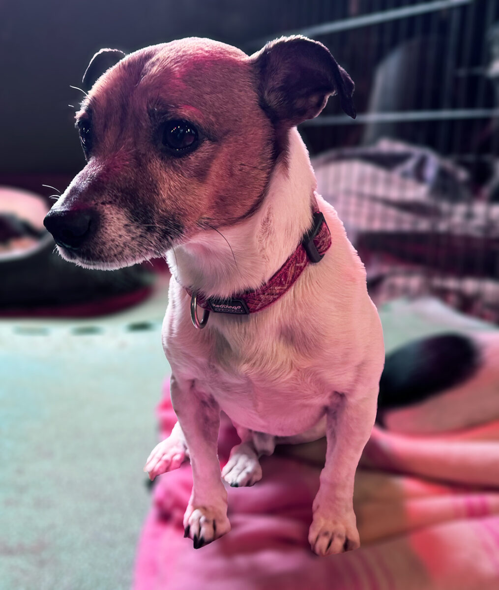Scrappy04