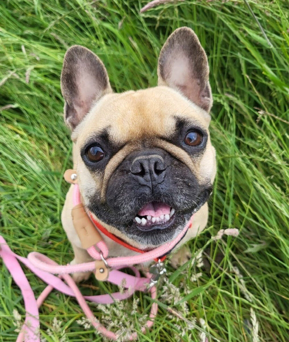 Coco 01